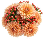Orange Dahlia Bouquet with Hypericum