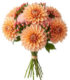 Orange Dahlia Bouquet with Hypericum - Flowers Box London