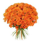 Orange Daisy Chrysanthemum Bouquet