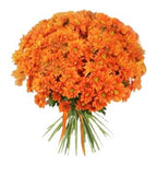Orange Daisy Chrysanthemum Bouquet - Flowers Box London