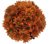 Orange Daisy Chrysanthemum Bouquet - Flowers Box London