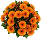 Orange Gerbera with Red Hypericum and Greenery Bouquet - Flowers Box London