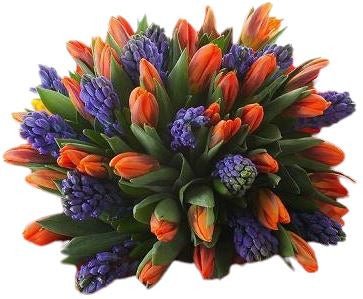 Orange in Blue Sky Bouquet - Flowers Box London