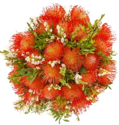 Orange Leucospermum with Snowberry Bouquet - Flowers Box London