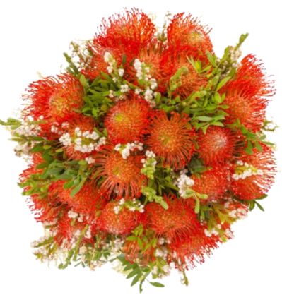 Orange Leucospermum with Snowberry Bouquet
