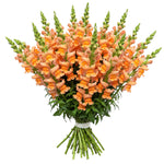 Orange Snapdragons Bouquet