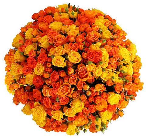 Orange & Yellow Spray Roses Bouquet - Flowers Box London