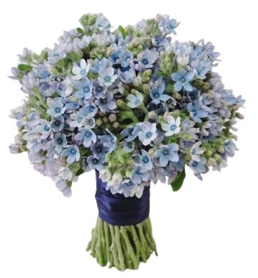 Oxypetalum Bridal Bouquet