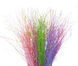 Paint Berk Branches ( Betula): Vibrant and Unique for Home Decor - Flowers Box London