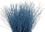 Paint Berk Branches ( Betula): Vibrant and Unique for Home Decor - Flowers Box London