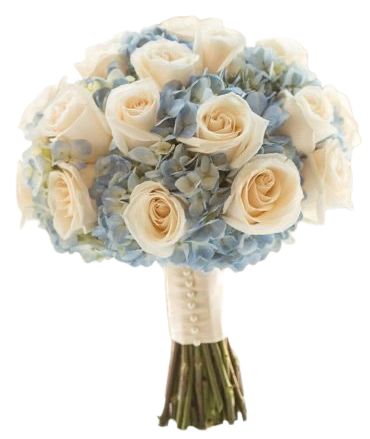 Pale Blue Hydrangea with Ivory Roses Bridal Bouquet
