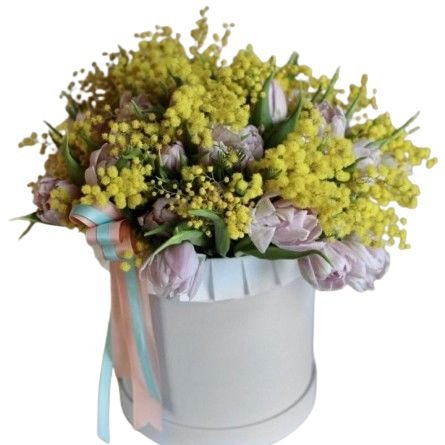 Pale Pink Tulips with Mimosa in a Box - Flowers Box London