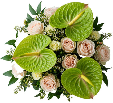 Pastel Charm Anthurium Bouquet