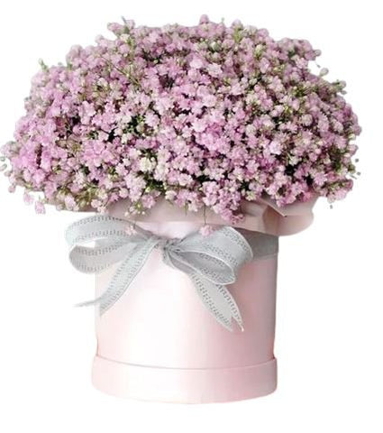Pastel Pink Gypsophila Box - Flowers Box London