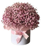 Pastel Pink Gypsophila Box - Flowers Box London