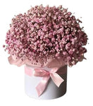 Pastel Pink Gypsophila Box