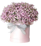 Pastel Pink Gypsophila Box