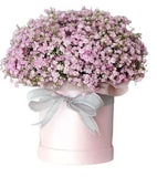 Pastel Pink Gypsophila Box