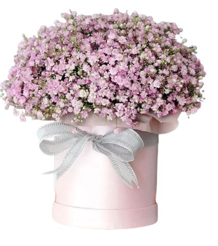 Pastel Pink Gypsophila Box