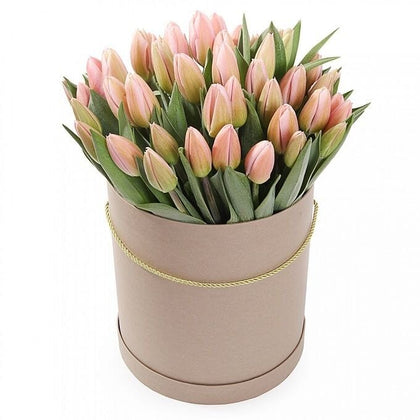 Pastel Pink Tulips in a Box - Flowers Box London