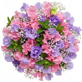 Pastel Precious Sweet Pea Bouquet
