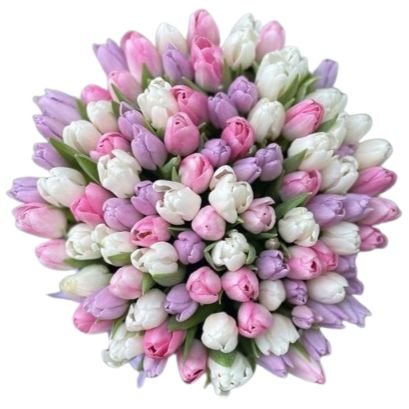 Pastel Trio Tulips Bouquet - Flowers Box London