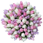 Pastel Trio Tulips Bouquet