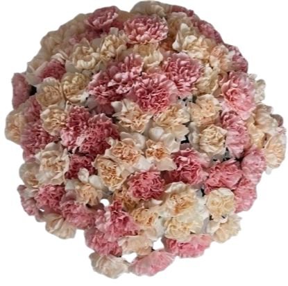 Peach and Pink Carnations Bouquet - Flowers Box London