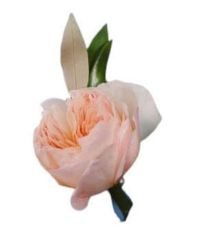 Peach Garden Roses Buttonhole