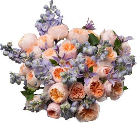 Peach Garden Roses with Blue Dalphinium Bouquet - Flowers Box London