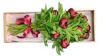 Peonies in Luxury Gift Box - Flowers Box London