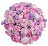Peonies with Fragrant Stock Bouquet - Flowers Box London