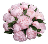 Peonies with Ruscus Bouquet - Flowers Box London