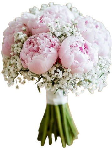 Peony with Gypsophila Bridal Bouquet