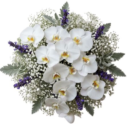 Phalaenopsis Orchids Bouquet with Gypsophila and Lavender Accent