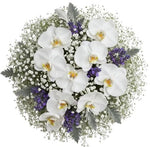 Phalaenopsis Orchids Bouquet with Gypsophila and Lavender Accent - Flowers Box London