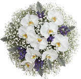 Phalaenopsis Orchids Bouquet with Gypsophila and Lavender Accent - Flowers Box London