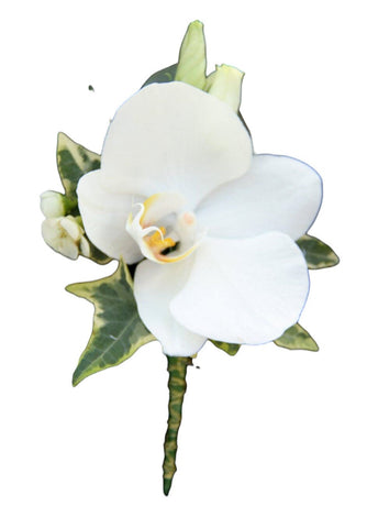 Phalaenopsis Orchids Buttonhole