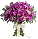 Phalaenopsis Orchids with Pink Carnations Bouquet - Flowers Box London