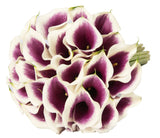 Picasso Calla Lily Bouquet - Flowers Box London