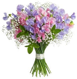 Pink and Lavender Sweet Pea with Gypsophila Bouquet - Flowers Box London