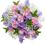 Pink and Lavender Sweet Pea with Gypsophila Bouquet - Flowers Box London