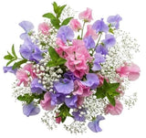 Pink and Lavender Sweet Pea with Gypsophila Bouquet - Flowers Box London