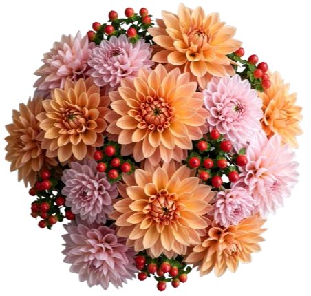 Pink and Peach Dahlia Bouquet with Hypericum