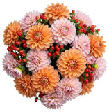 Pink and Peach Dahlia Bouquet with Hypericum