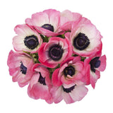 Pink Anemone Bouquet - Flowers Box London