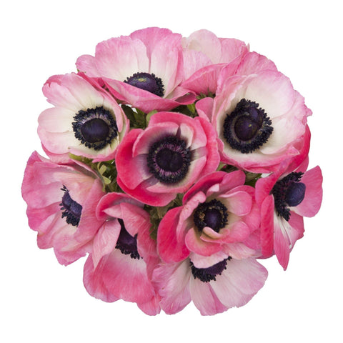 Pink Anemone Bouquet - Flowers Box London