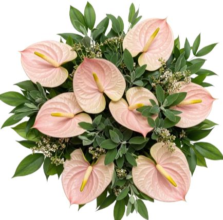 Pink Anthurium with Wax Flowers and Greenery Bouquet