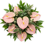 Pink Anthurium with Wax Flowers and Greenery Bouquet - Flowers Box London