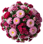 Pink Chinese Asters and Sweet Williams Bouquet